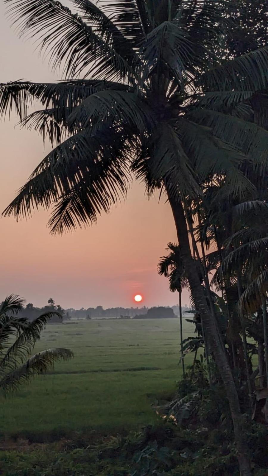 Paddy N Canal Homestay Alappuzha Dış mekan fotoğraf